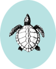 line drawing of a Kemp's ridley turtle